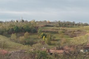 Dumbrăvița de Codru