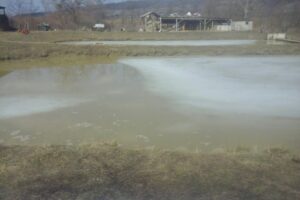 Dumitreștii Gălății