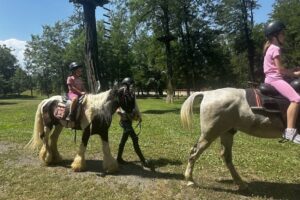 Echitatie Gurasada Horses Classic