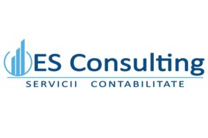 Es Consulting