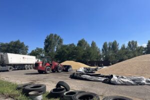 Euro Grains Trading Srl