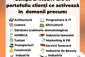 Exaudit Contabilitate