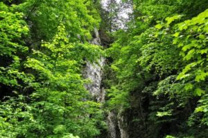 Excursii Montane Bucegi