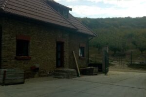 Fabrica de suc Vulturești