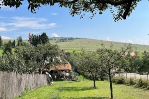 Facska Farming Gardening