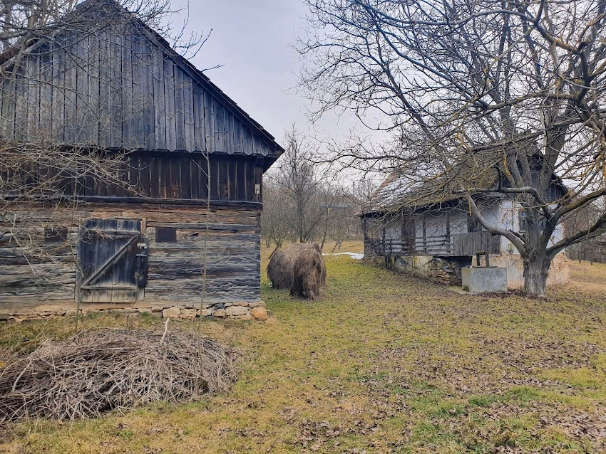 Făgetu Ierii