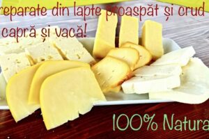 Ferma Agricolă Vâlsănești Srl