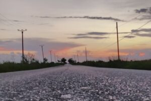 Ferma Agroindaf Afumati