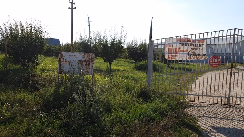 Ferma de pui Deveselu