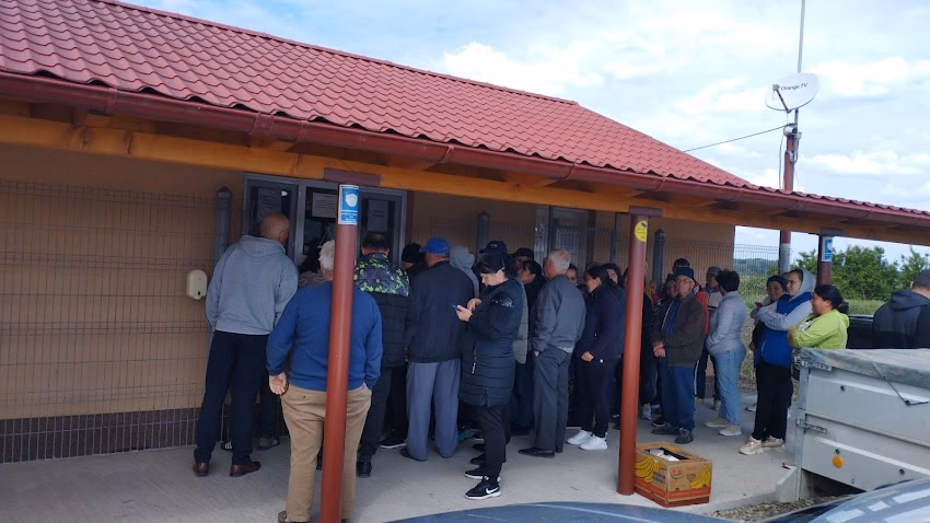 Ferma de pui Diculeşti