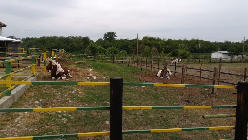 Ferma Didactica Moara Domneasc