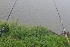 Ferma Piscicola Pasirom