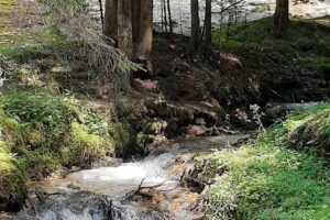 Festival National de Folk Vama de la munte