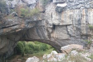 Festivalul Naţional Ponoare