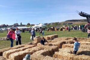 Festivalul Silvoiței