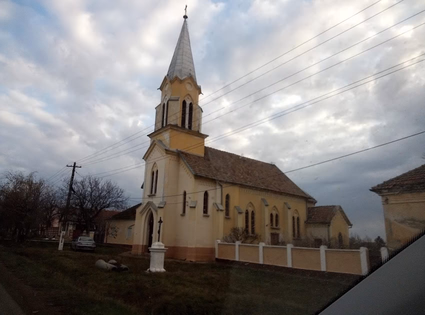Fibiș