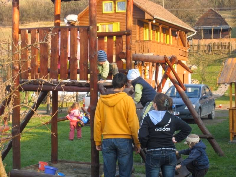 Floarea soarelui
