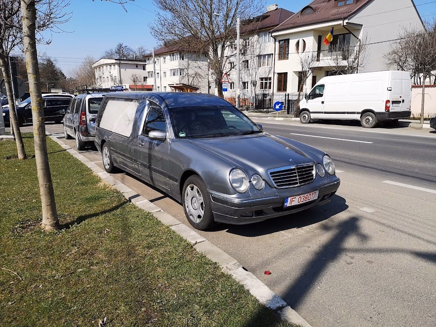 Florăria Mery Traistaru