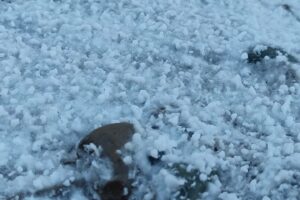 Foișor Munții de Sare