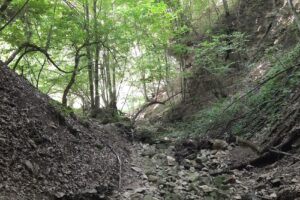 Frâncenii de piatră