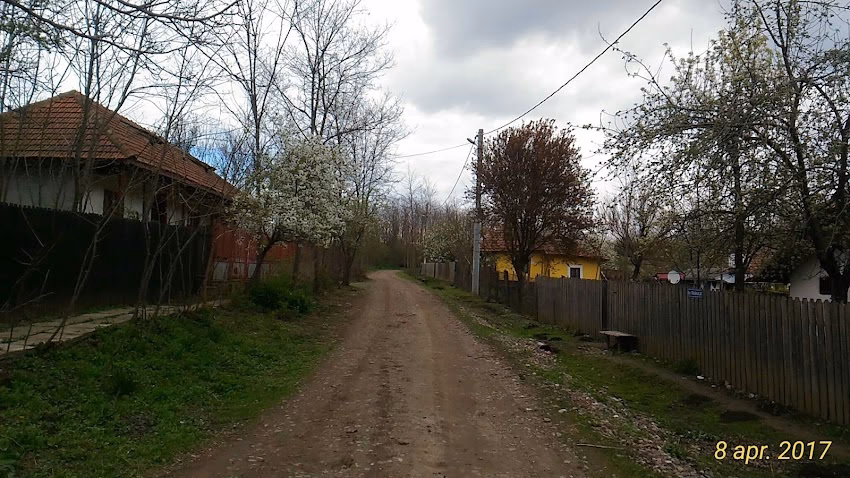 Frăsinetu de Jos