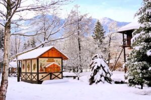 Frații Jderi Utopia Verde