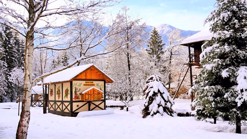 Frații Jderi Utopia Verde