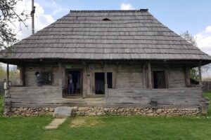 Fundația Casa BrâncușiHobița