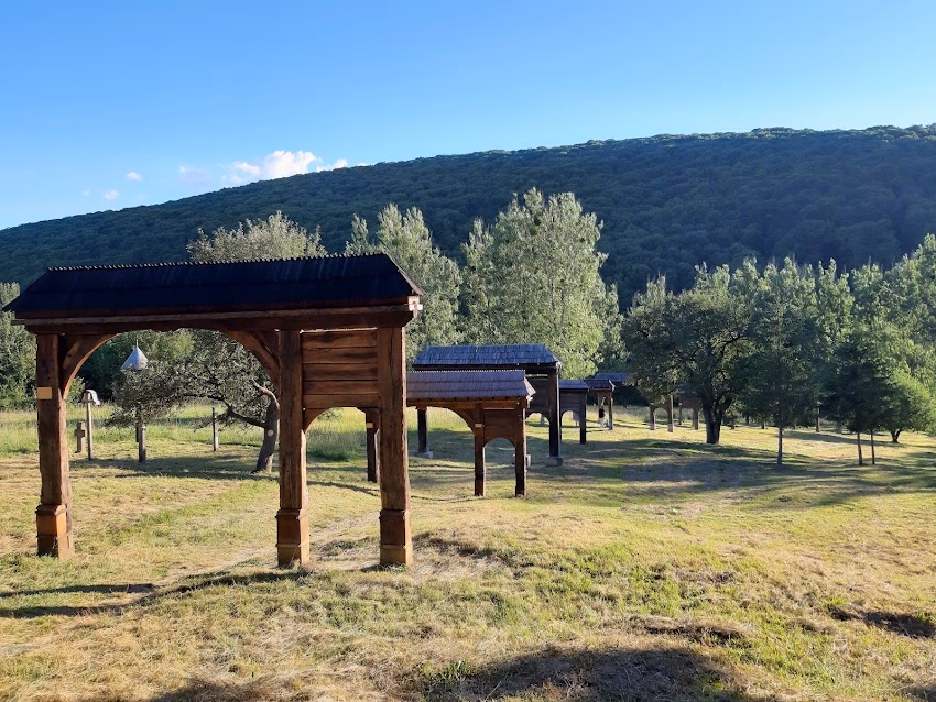 Galeria Porților Secuiești