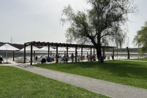 Garuda By Pheonix Cernica