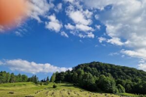 Gastro Local Familia Neagoe