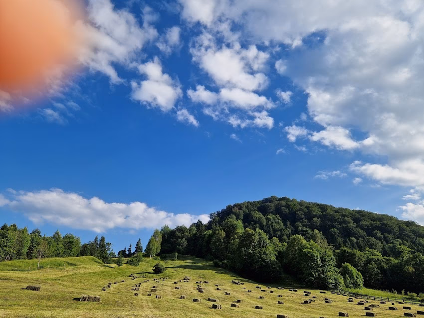 Gastro Local Familia Neagoe