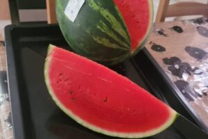 Gheorghe Doja Cooperativa Agricola Warehouse watermelon