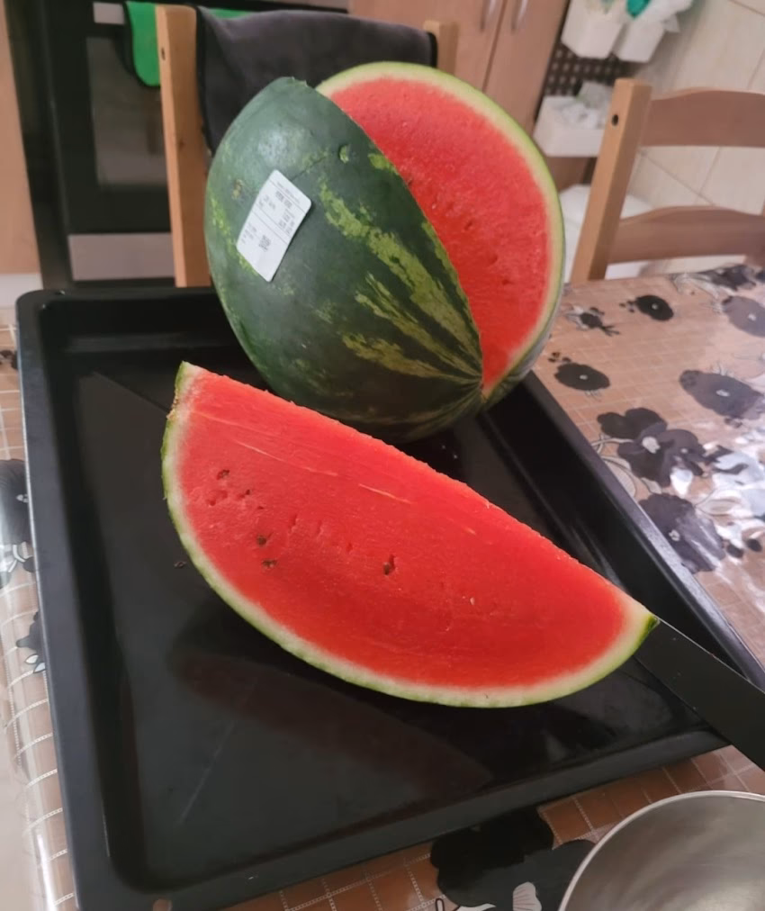 Gheorghe Doja Cooperativa Agricola Warehouse watermelon