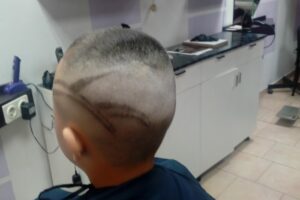 Ghirisan ilie marius pfa salon de infrumusetare