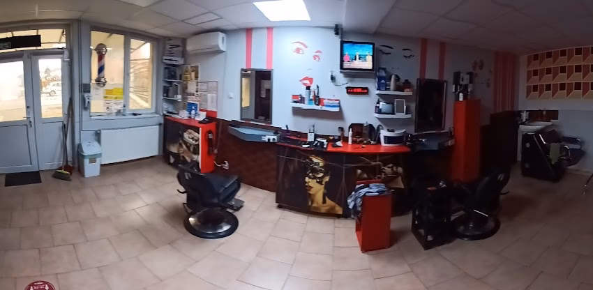 Ghirisan ilie marius pfa salon de infrumusetare