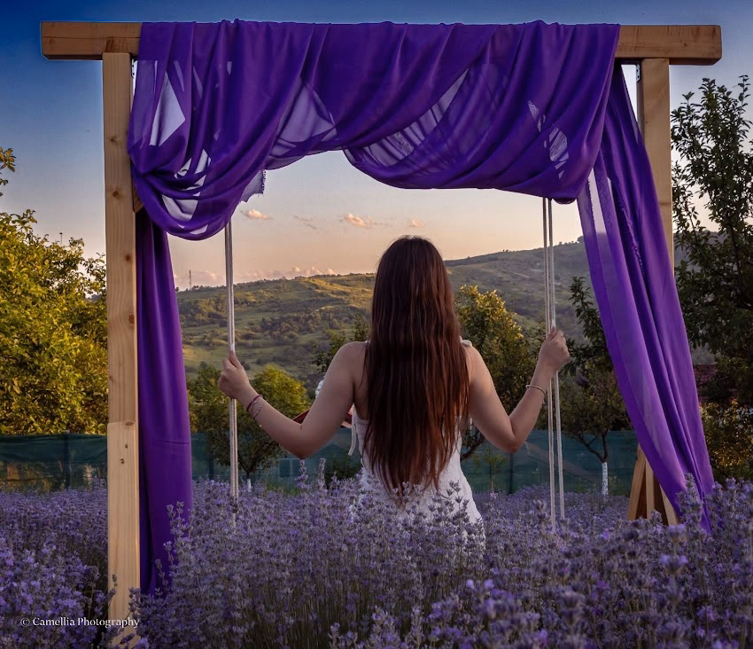 Grădina Cu Lavandă Lunca Frumoasă Buzău