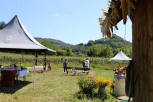 Grădinile Mălâncrav