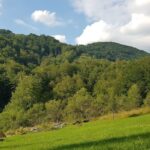 Grădiștea de Munte