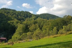 Grădiștea de Munte