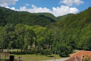 Grădiștea de Munte