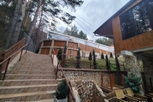 Green Garden local evenimente