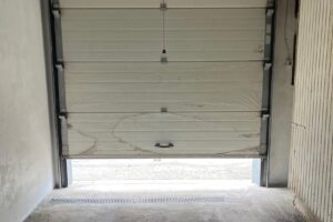 Hale frigorifice Bistrita Nasaud Euro Funghi