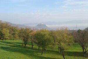 Hanul lu Moș Opincă