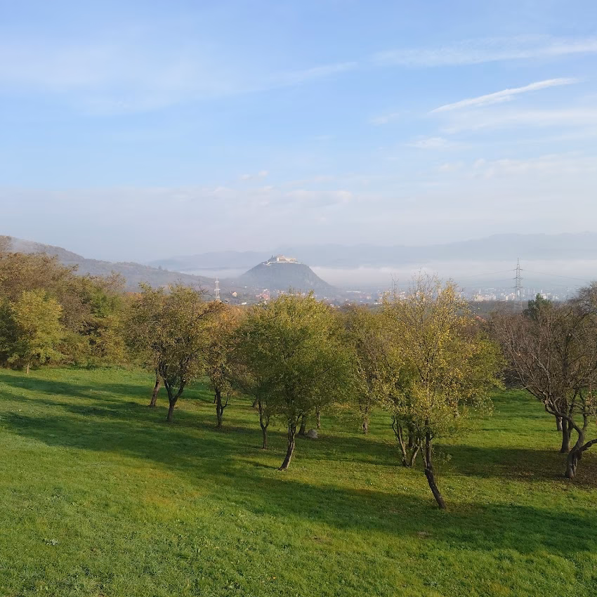 Hanul lu Moș Opincă