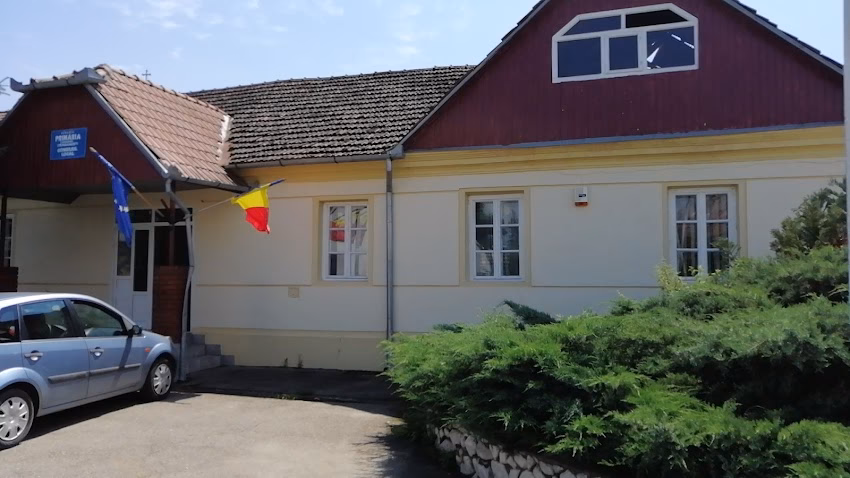 Horge Presedinte La Primarie