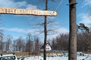 Horodniceni sat Bradatel Vale