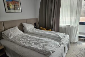 Hotel Alexandrion Experience Sinaia