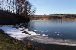 Iazul Luizoaia Botosani