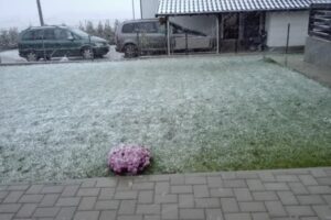 Imperium Residence 2